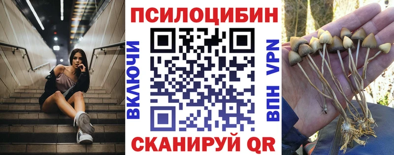 Галлюциногенные грибы GOLDEN TEACHER  MEGA ONION  Арсеньев 